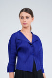 Pleated Two Button Blouse